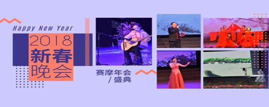 2018350vip浦京集团艾普新春年会圆满落幕